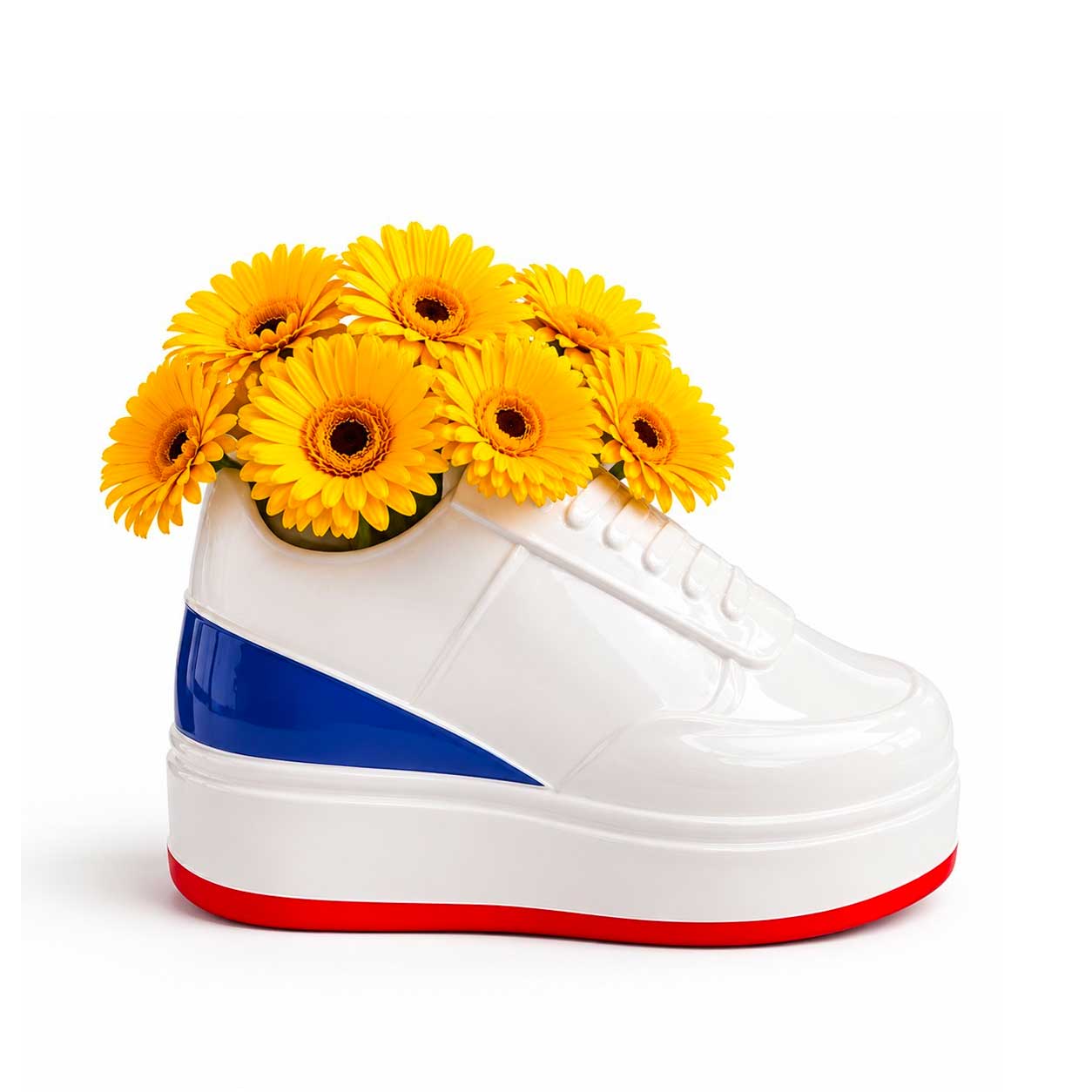 Vase Sneaker